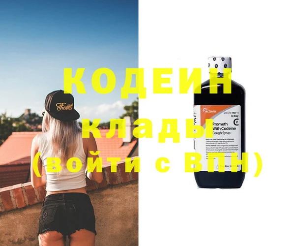 шишки Белокуриха
