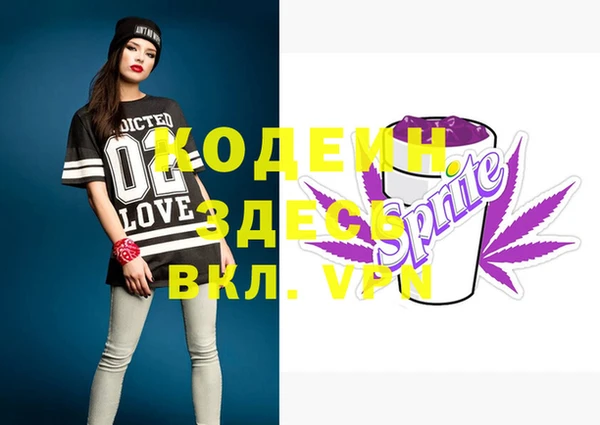 шишки Белокуриха