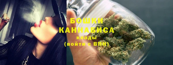 шишки Белокуриха
