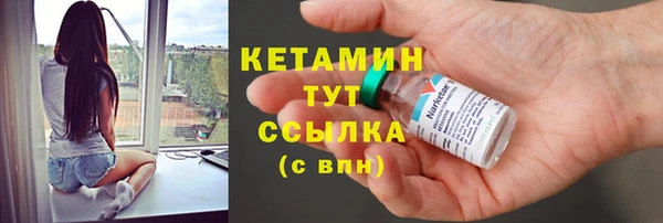 шишки Белокуриха