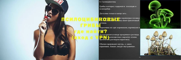 стаф Ступино