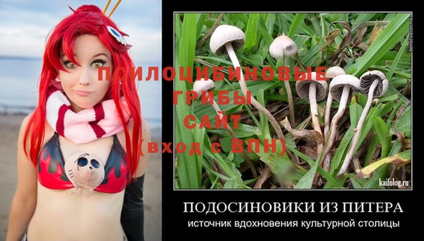 шишки Белокуриха