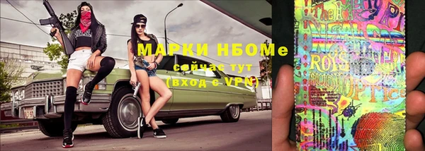 шишки Белокуриха