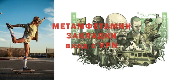 шишки Белокуриха