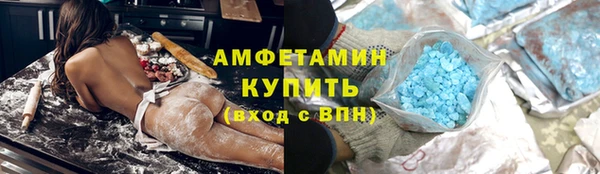 шишки Белокуриха