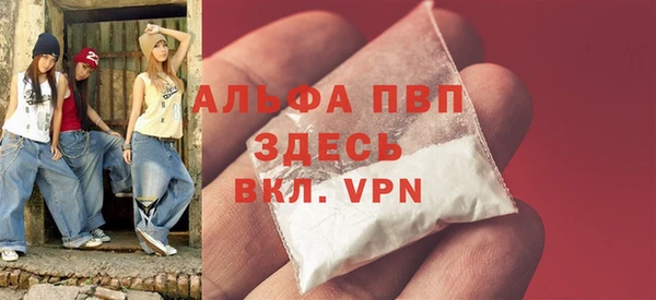 шишки Белокуриха
