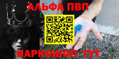 стаф Гатчина