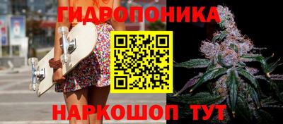 скорость Берёзовский