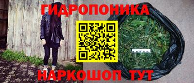 мяу мяу мука Бузулук