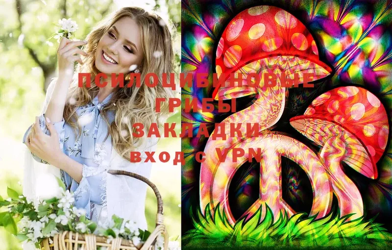 darknet Telegram  hydra ТОР  Гусев  закладка  Псилоцибиновые грибы Magic Shrooms 