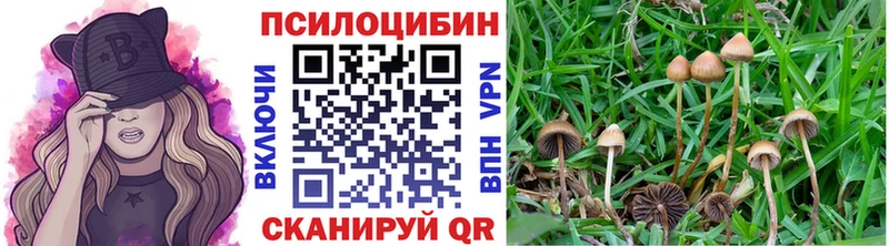 Галлюциногенные грибы Magic Shrooms  где купить наркотик  Гусев 