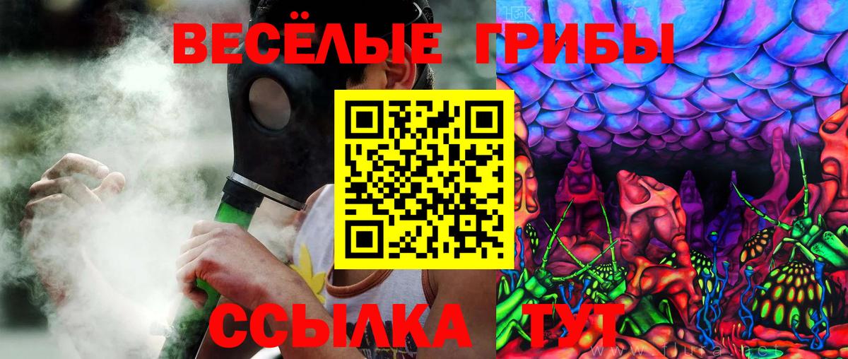 цены наркотик  Галлюциногенные грибы MAGIC MUSHROOMS  Вход с VPN  Гусев 