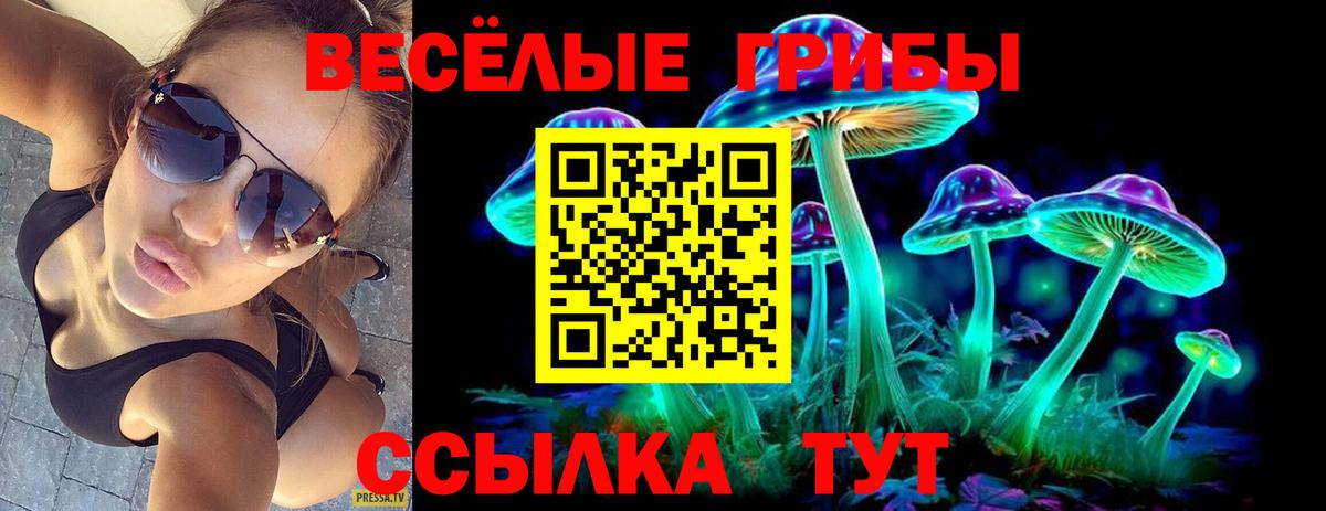Галлюциногенные грибы Psilocybine cubensis  Гусев 