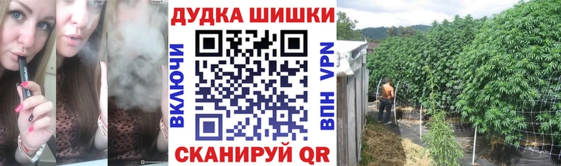 где купить   Гусев  Конопля сатива 